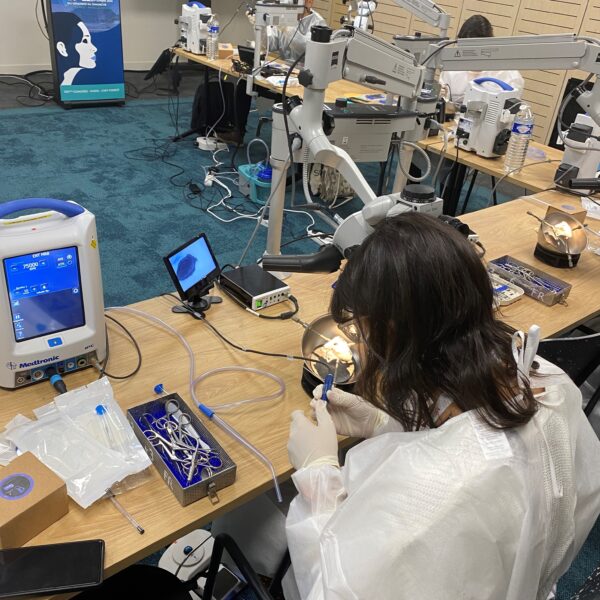 SFORLWCA_oursicate_jour_0-2