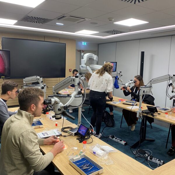 SFORLWCA_oursicate_jour_0-3