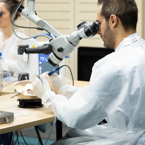 SFORLWCA_oursicate_jour_1-235